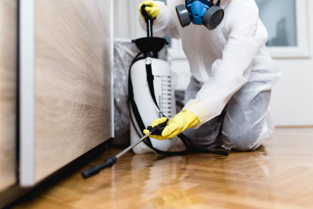 Best Affordable Pest Control Services  in Homer, IL