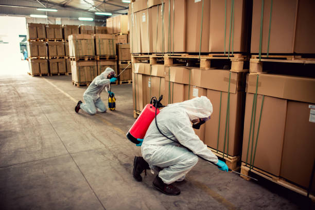 Best Residential Pest Control  in Homer, IL