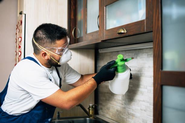 Professional Pest Control in Homer, IL