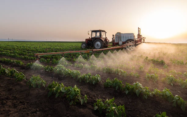 Best Best Pest Control Companies  in Homer, IL