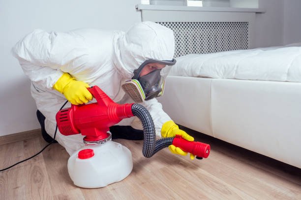 Best Termite Control Services  in Homer, IL