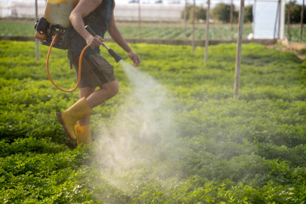 Best Pest Prevention Services  in Homer, IL