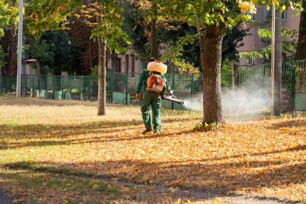 Best Wildlife Control Services  in Homer, IL