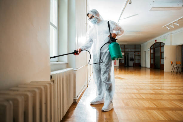 Best Mosquito Control Services  in Homer, IL