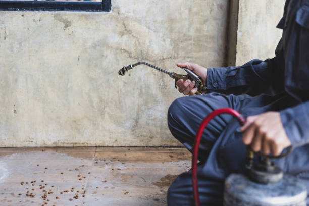 Best Commercial Pest Control Services  in Homer, IL